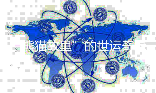 “熊貓故里”的世運(yùn)奇緣：像愛(ài)大熊貓一樣愛(ài)中國(guó)的一切