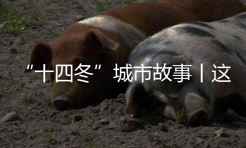 “十四冬”城市故事丨這就是鄂溫克——送你一朵太陽(yáng)花