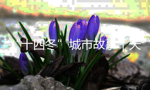 “十四冬”城市故事｜天天都有那達(dá)慕，這里是陳巴爾虎旗