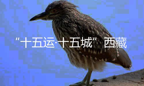 “十五運(yùn)·十五城”西藏林芝波密站全運(yùn)花車發(fā)車儀式舉行