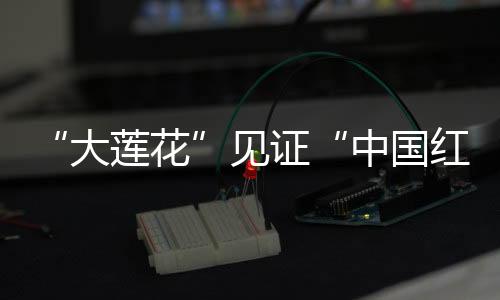 “大蓮花”見證“中國紅” “絲滑”散場(chǎng)顯溫度