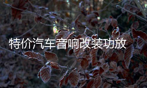 特價汽車音響改裝功放 2路二聲道功放 發(fā)燒車載功放推低音炮喇叭