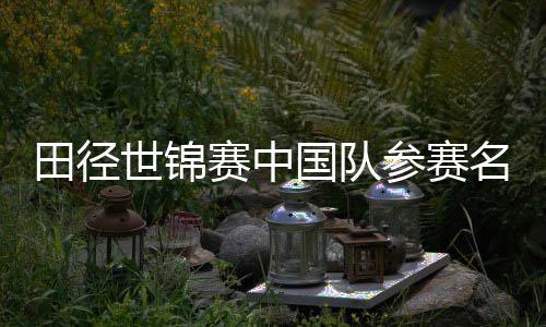 田徑世錦賽中國(guó)隊(duì)參賽名單公布 黑龍江運(yùn)動(dòng)員錢(qián)海峰、郭龍宇入選