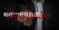 暢呼***呼吸機(圖)