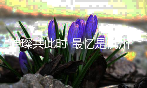 璀璨共此時 最憶是杭州——杭州亞運會閉幕式側(cè)記