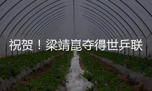 祝賀！梁靖崑奪得世乒聯(lián)冠軍賽韓國站男單冠軍