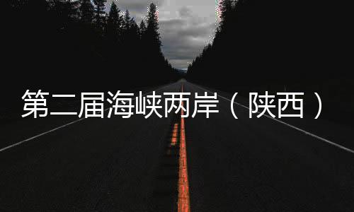 第二屆海峽兩岸（陜西）青少年足球交流賽榆林開賽