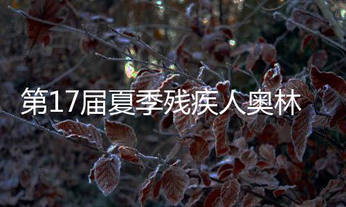 第17屆夏季殘疾人奧林匹克運動會：中國體育代表團(tuán)多點開花 在多個項目上斬獲獎牌