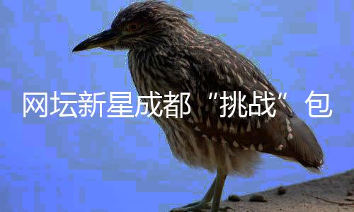 網(wǎng)壇新星成都“挑戰(zhàn)”包餃子 沉浸式體驗(yàn)中國文化