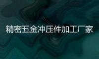 精密五金沖壓件加工廠(chǎng)家