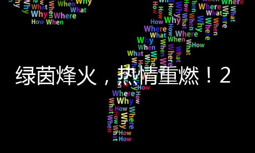 綠茵烽火，熱情重燃！2024中國(guó)網(wǎng)絡(luò)媒體足球精英賽開(kāi)幕