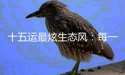 十五運(yùn)最炫生態(tài)風(fēng)：每一頭白海豚，都是游動(dòng)的GDP