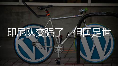 印尼隊(duì)變強(qiáng)了，但國(guó)足世預(yù)賽有機(jī)會(huì)——專(zhuān)訪(fǎng)北京國(guó)安荷蘭籍外教杰森