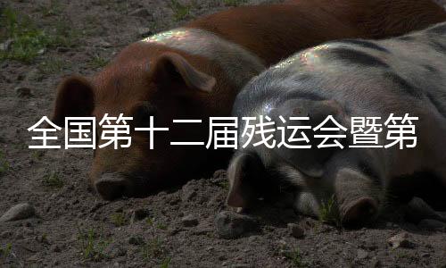 全國第十二屆殘運會暨第九屆特奧會跆拳道賽事在廣東惠州收官