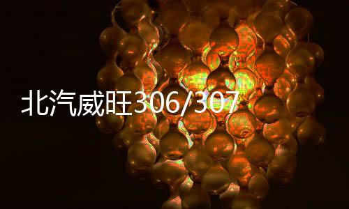 北汽威旺306/307/M20/M30/M60/M35原裝電瓶風(fēng)帆48AH12V汽車蓄電池