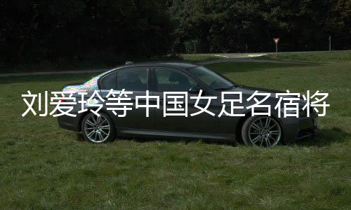 劉愛玲等中國女足名宿將亮相廣西大化