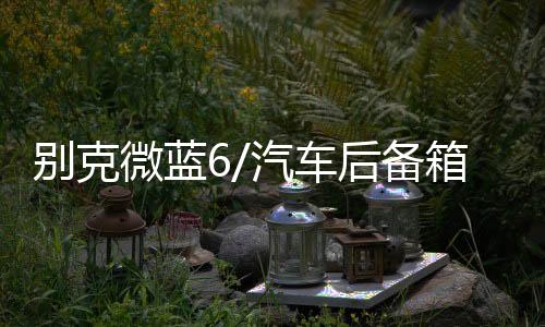 別克微藍(lán)6/汽車后備箱改裝專用隔板裝飾隔物板收納配件儲(chǔ)物箱整理