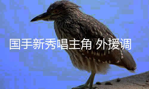 國手新秀唱主角 外援調(diào)整精彩不減——新賽季中國女排超級聯(lián)賽亮點(diǎn)紛呈