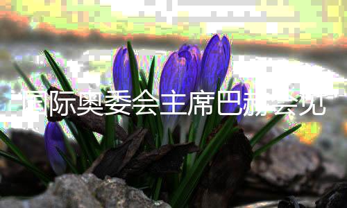 國際奧委會主席巴赫會見“為奧運喝彩”藝術(shù)家
