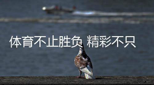 體育不止勝負 精彩不只金牌！這些動人瞬間讓奧林匹克精神具象化