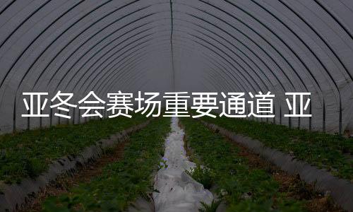 亞冬會(huì)賽場(chǎng)重要通道 亞雪公路改擴(kuò)建工程提前通車(chē)