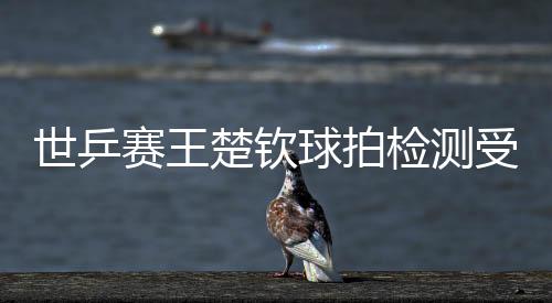 世乒賽王楚欽球拍檢測受損 國際乒聯(lián)回應(yīng)徹查該事件