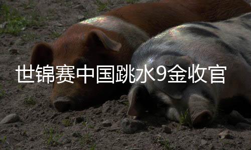 世錦賽中國跳水9金收官 奧運項目接連丟冠敲警鐘