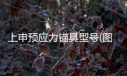 昭通預(yù)應(yīng)力鋼絞線價(jià)格