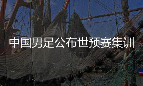 中國男足公布世預賽集訓名單：阿蘭回歸，張玉寧因傷缺席