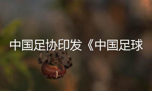 中國(guó)足協(xié)印發(fā)《中國(guó)足球協(xié)會(huì)誠信專員管理辦法（試行）》