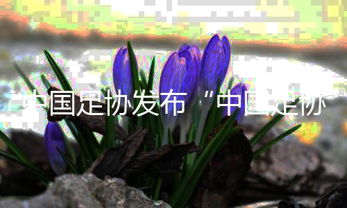 中國足協(xié)發(fā)布“中國足協(xié)球員自薦系統(tǒng)” 自薦、選拔如何進(jìn)行？