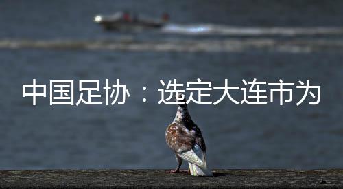中國足協(xié)：選定大連市為中國隊(duì)世預(yù)賽9月份主場承辦城市