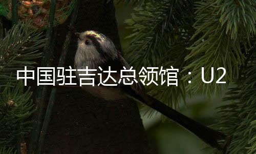 中國駐吉達總領(lǐng)館：U23亞洲杯決賽“中國人免票”為不實信息