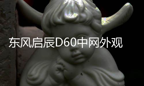 東風(fēng)啟辰D60中網(wǎng)外觀改裝配件汽車前臉保險杠防護用品專用裝飾條