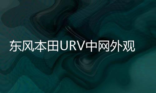 東風(fēng)本田URV中網(wǎng)外觀改裝件前臉保險杠專用裝飾亮條配件汽車用品