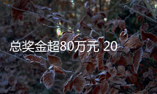 總獎(jiǎng)金超80萬(wàn)元 2025郴州“林丹杯”羽毛球公開(kāi)賽7月?lián)]拍