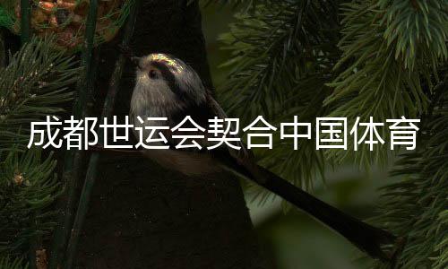 成都世運(yùn)會(huì)契合中國(guó)體育時(shí)代之需 用多樣、多元詮釋運(yùn)動(dòng)無(wú)限可能