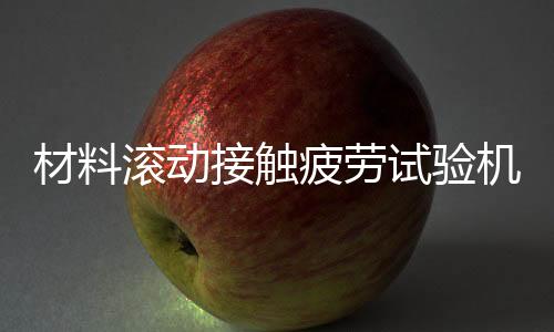 材料滾動(dòng)接觸疲勞試驗(yàn)機(jī)