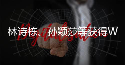 林詩棟、孫穎莎等獲得WTT香港總決賽參賽資格