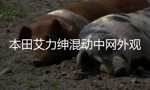 本田艾力紳混動(dòng)中網(wǎng)外觀(guān)改裝件前臉保險(xiǎn)杠大包圍專(zhuān)用裝飾亮條配件