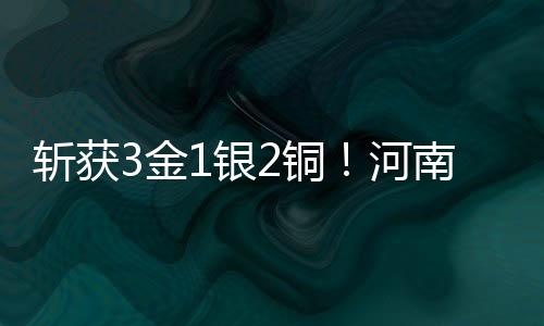 斬獲3金1銀2銅！河南選手出彩2025年全國(guó)跆拳道冠軍總決賽