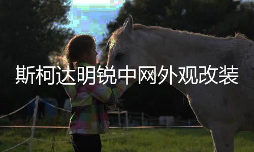 斯柯達(dá)明銳中網(wǎng)外觀改裝配件昊銳汽車(chē)前臉保險(xiǎn)杠專用裝飾條晶銳