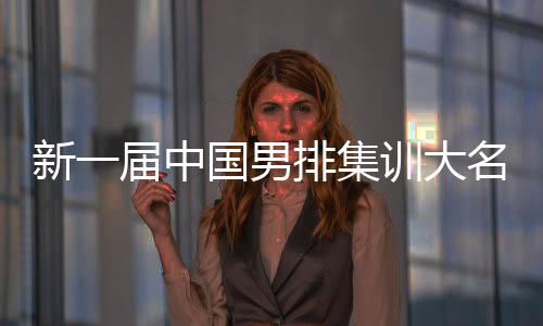 新一屆中國男排集訓(xùn)大名單公布 比利時名帥海寧出任中國隊主教練