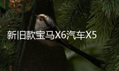 新舊款寶馬X6汽車X5電子手剎模塊電機駐車伺服 E70 E71馬達配件