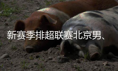 新賽季排超聯(lián)賽北京男、女排回歸主場(chǎng)光彩體育館