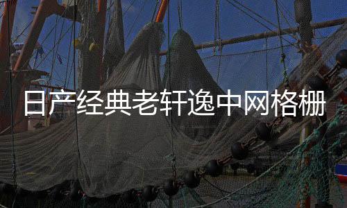 日產(chǎn)經(jīng)典老軒逸中網(wǎng)格柵外觀改裝件爆改前臉保險(xiǎn)杠專(zhuān)用裝飾條配件