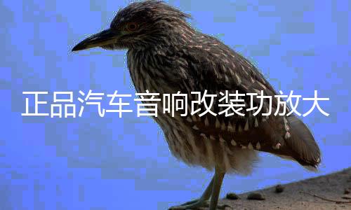 正品汽車音響改裝功放大功率4路車載功放 HIFI音質(zhì)四聲道放大器