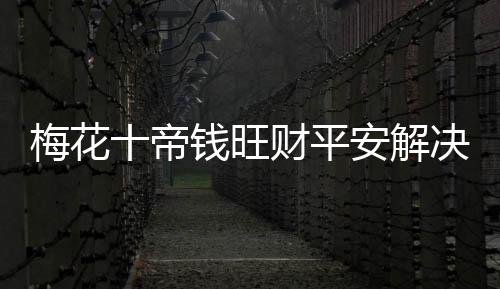 梅花十帝錢旺財平安解決橫梁門對門對陽臺窗戶家用汽車中國結(jié)掛件