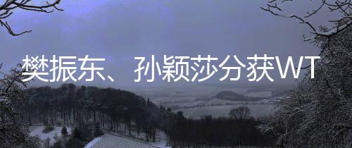 樊振東、孫穎莎分獲WTT重慶冠軍賽男女單打冠軍