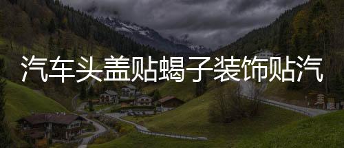 汽車頭蓋貼蝎子裝飾貼汽車貼紙機蓋貼拉花蝎子改裝刮痕車身貼紙